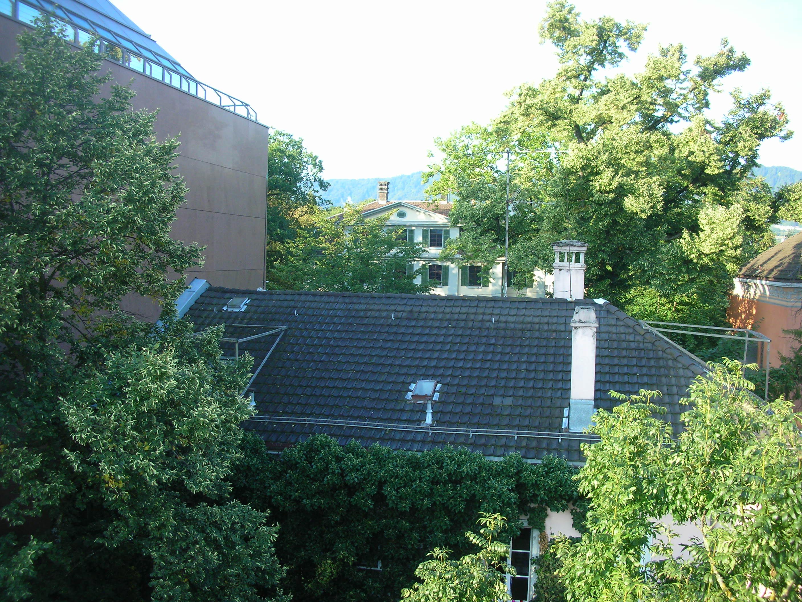 Freigut, gesehen von der Dachterrasse Gerechtigkeitsgasse 25